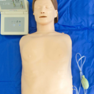 Simulador-de-torso-e1701973909617.png
